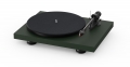 Bild 1 von Pro-Ject Debut Carbon EVO . Audiophiler Plattenspieler. Ortofon 2M Red! Sonderpreis!  / (Farbe) goldgelb